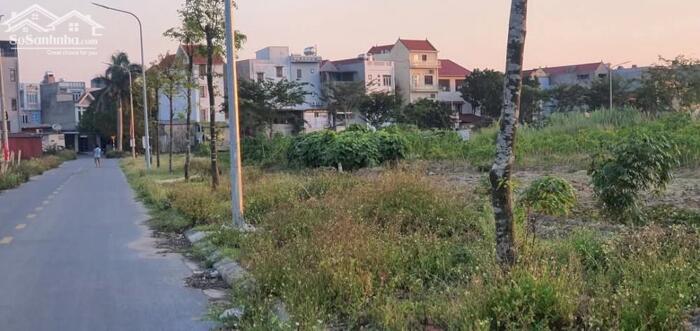 Hình ảnh Bán 2 lô liền nhìn vườn hoa đẹp Nhất dự án phố Bùng, Bình Dương - Gia Bình - Bắc Ninh. Không 1 lỗi nhỏ 4