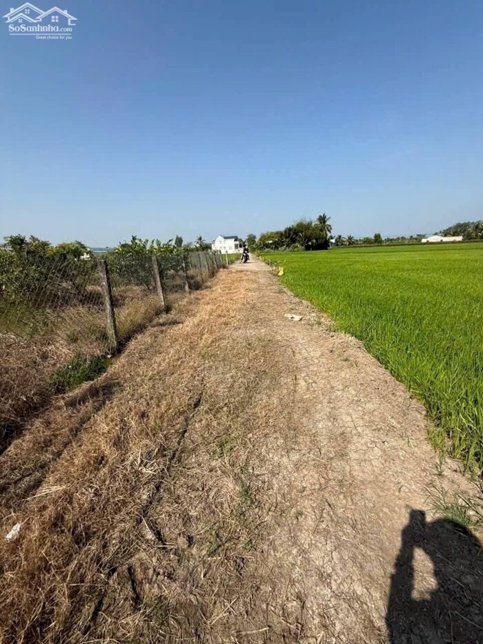 Hình ảnh 2,2 công đất xã Lợi Bình Nhơn, TP Tân An tỉnh Long An 3