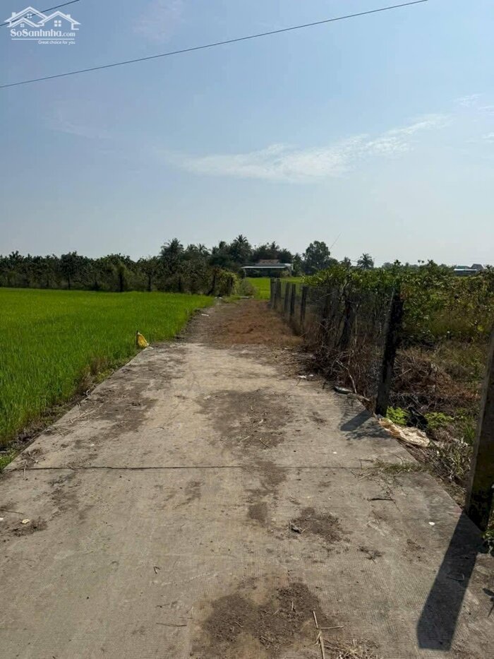 Hình ảnh 2,2 công đất xã Lợi Bình Nhơn, TP Tân An tỉnh Long An 2