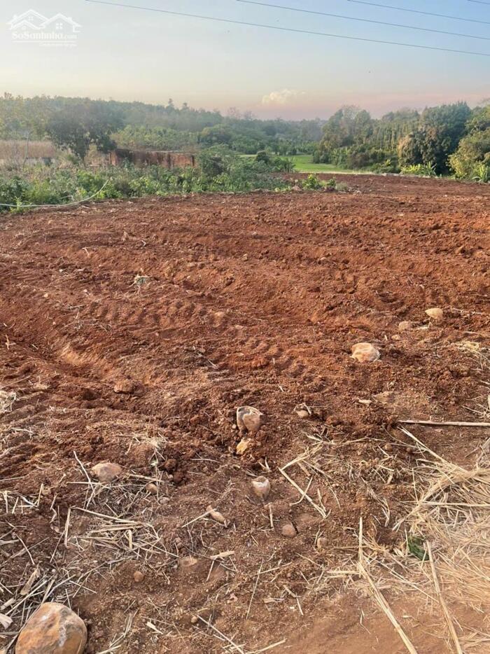 Hình ảnh Bán 6.000m2 Đất CLN Giá Ngộp – Phường Khánh Xuân, Buôn Ma Thuột 4