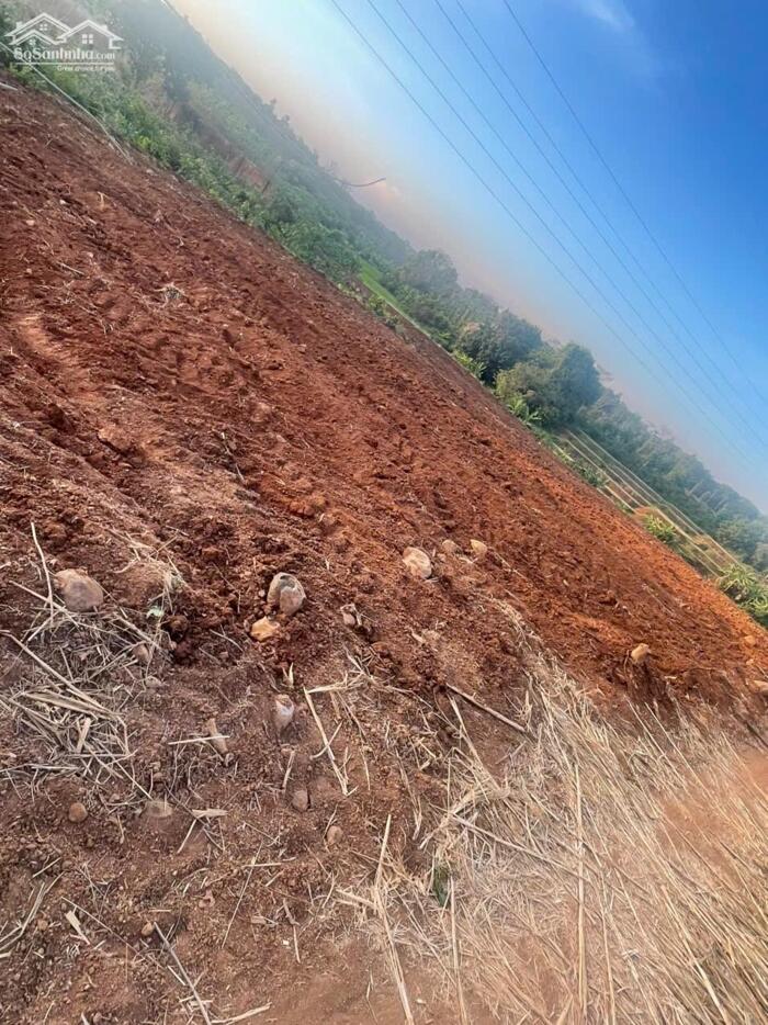 Hình ảnh Bán 6.000m2 Đất CLN Giá Ngộp – Phường Khánh Xuân, Buôn Ma Thuột 5