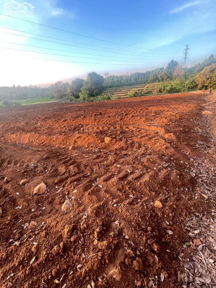 Hình ảnh Bán 6.000m2 Đất CLN Giá Ngộp – Phường Khánh Xuân, Buôn Ma Thuột 2