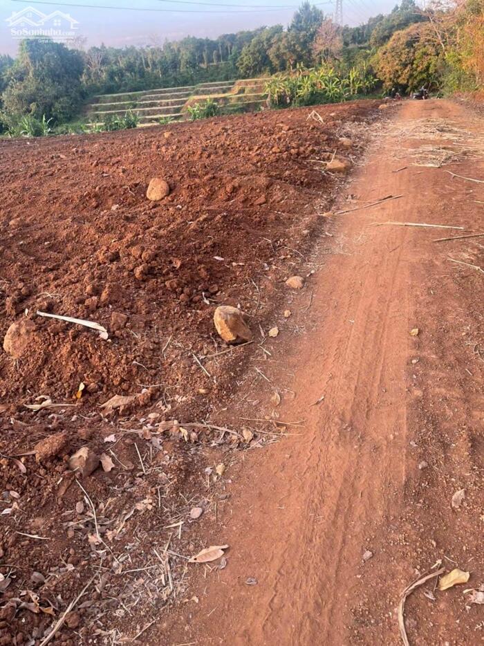 Hình ảnh Bán 6.000m2 Đất CLN Giá Ngộp – Phường Khánh Xuân, Buôn Ma Thuột 0