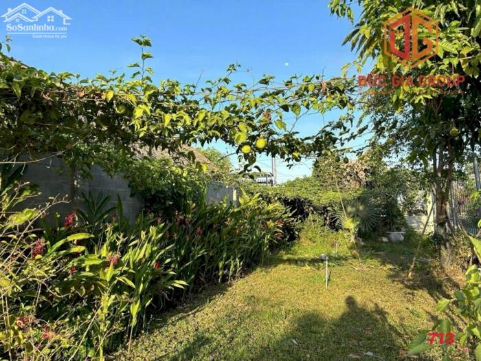 Hình ảnh Bán nhà vườn nghỉ dưỡng ven sông Đồng Nai xã Bình Lợi, sổ hồng 1607m2 quy hoạch đất ở sẳn 200m2 thổ cư giá 6.7 tỷ 4