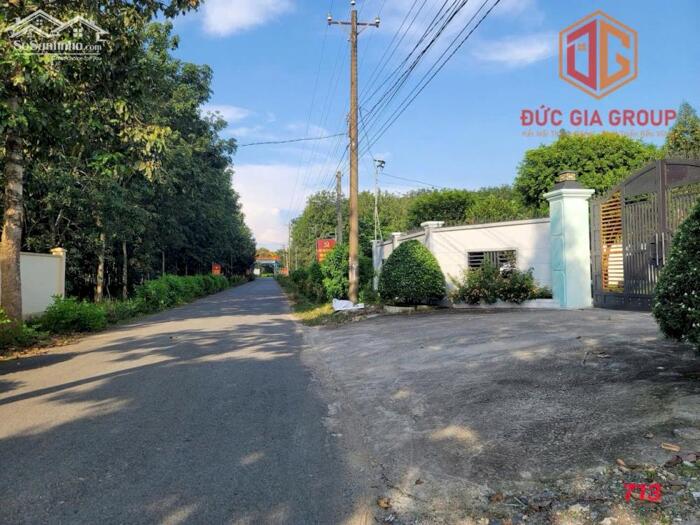 Hình ảnh Bán nhà vườn nghỉ dưỡng ven sông Đồng Nai xã Bình Lợi, sổ hồng 1607m2 quy hoạch đất ở sẳn 200m2 thổ cư giá 6.7 tỷ 6