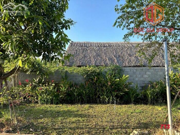 Hình ảnh Bán nhà vườn nghỉ dưỡng ven sông Đồng Nai xã Bình Lợi, sổ hồng 1607m2 quy hoạch đất ở sẳn 200m2 thổ cư giá 6.7 tỷ 5