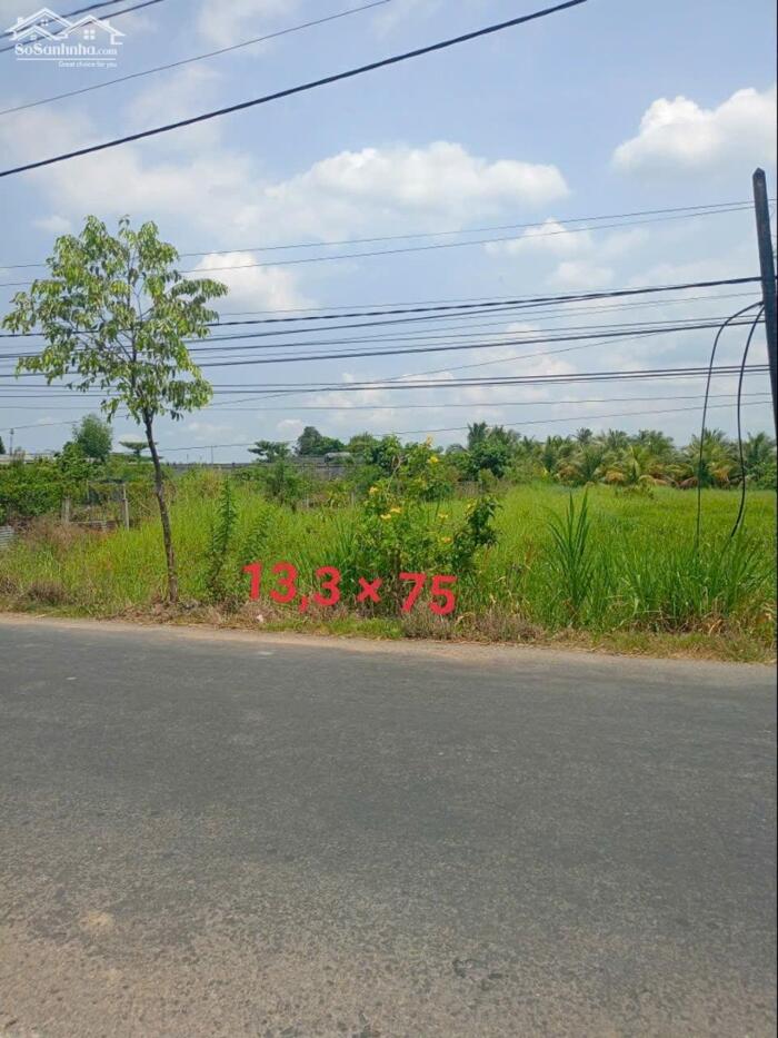 Hình ảnh 1 công đất Mt đường Mai Bá Hương, gần vòng xoay lớn P5 TP Tân An, Long An 0