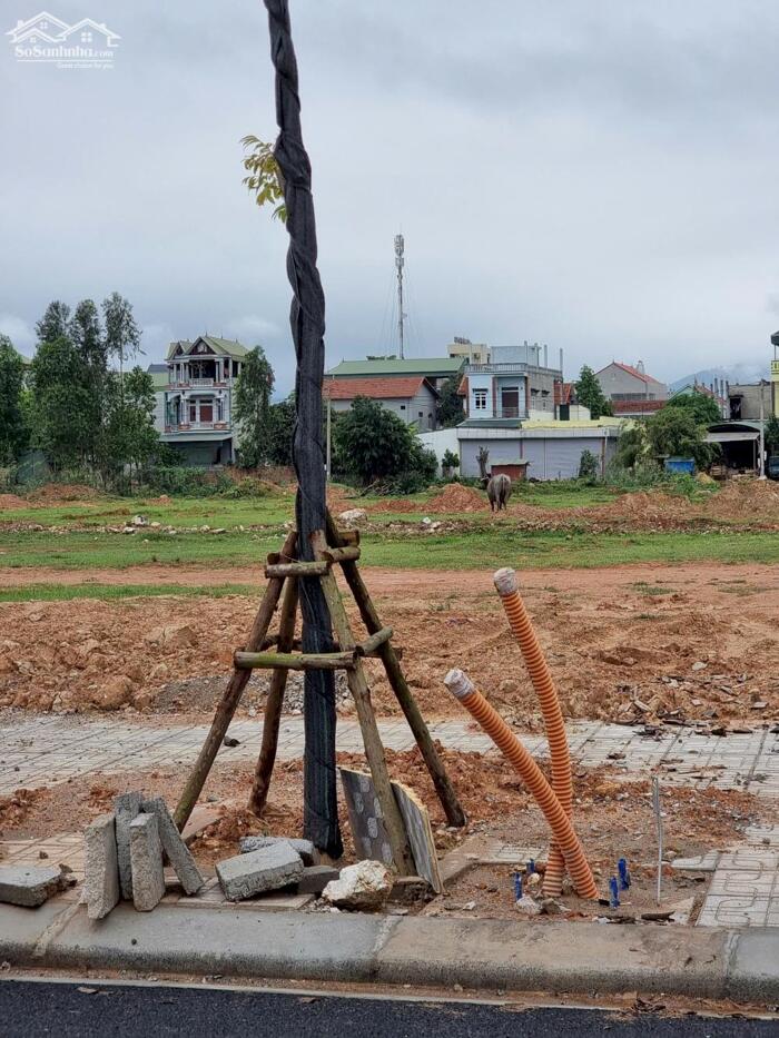 Hình ảnh Bán đất khu Vinh Tiến - Bá Hiến, Bình xuyên. Cạnh 3 khu công nghiệp. 3