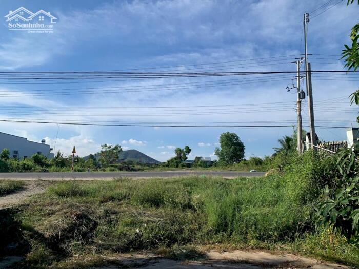 Hình ảnh Bán đất 5x32 full thổ cư MT lý thái tổ, tân tiến, tx lagi, Bình Thuận. Giá rẻ 2