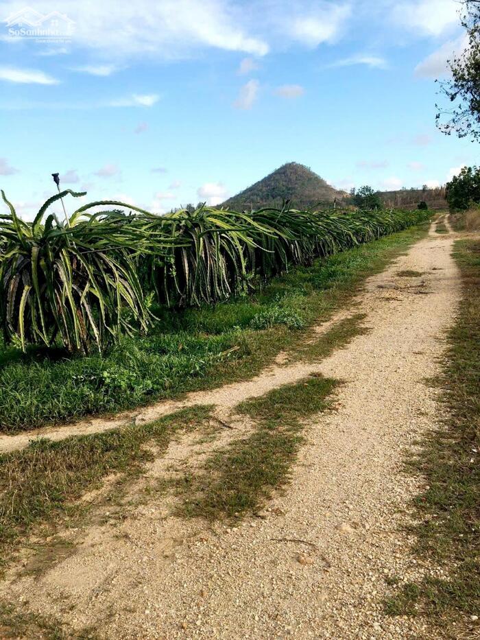 Hình ảnh Ngộp quá bán nhanh-Đất Ba Bàu-Hàm Thạnh(Hàm Thuận Nam)-Lâm Đồng-DT hơn 4,6Ha 4