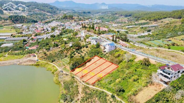 Hình ảnh Bán đất thổ cư 524m² view hồ Xuân Sơn, săn mây buổi sáng tại Xuân Trường, Đà Lạt 3