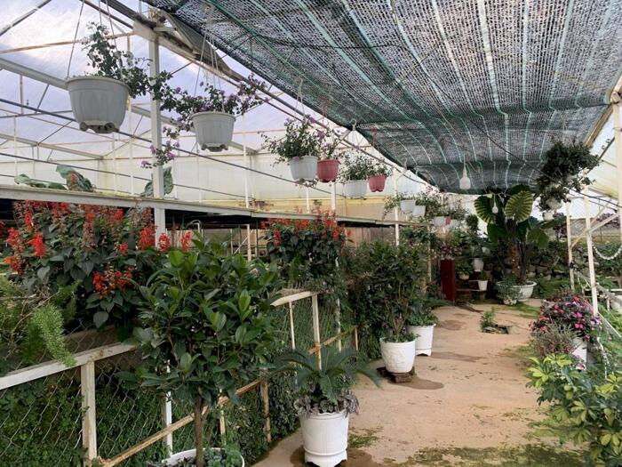 Hình ảnh Bán đất Hòn Bồ, P.12, TP. Đà Lạt - Cách Hồ Xuân Hương chỉ 6,4 Km 1