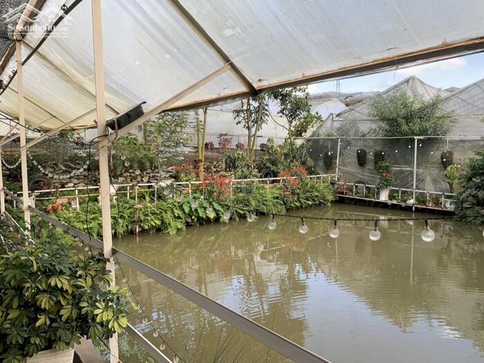 Hình ảnh Bán đất Hòn Bồ, P.12, TP. Đà Lạt - Cách Hồ Xuân Hương chỉ 6,4 Km 0