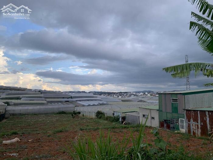 Hình ảnh Bán đất Hòn Bồ, P.12, TP. Đà Lạt - Cách Hồ Xuân Hương chỉ 6,4 Km 9