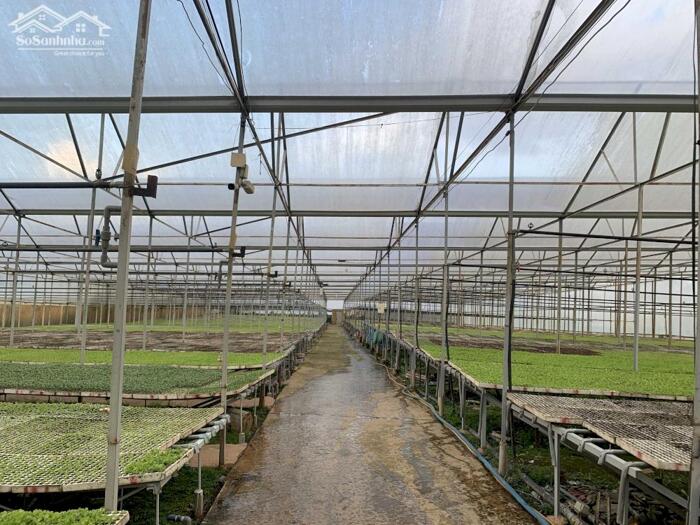 Hình ảnh Bán đất Hòn Bồ, P.12, TP. Đà Lạt - Cách Hồ Xuân Hương chỉ 6,4 Km 5