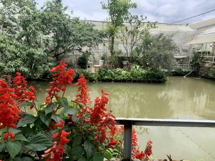 Hình ảnh Bán đất Hòn Bồ, P.12, TP. Đà Lạt - Cách Hồ Xuân Hương chỉ 6,4 Km 11