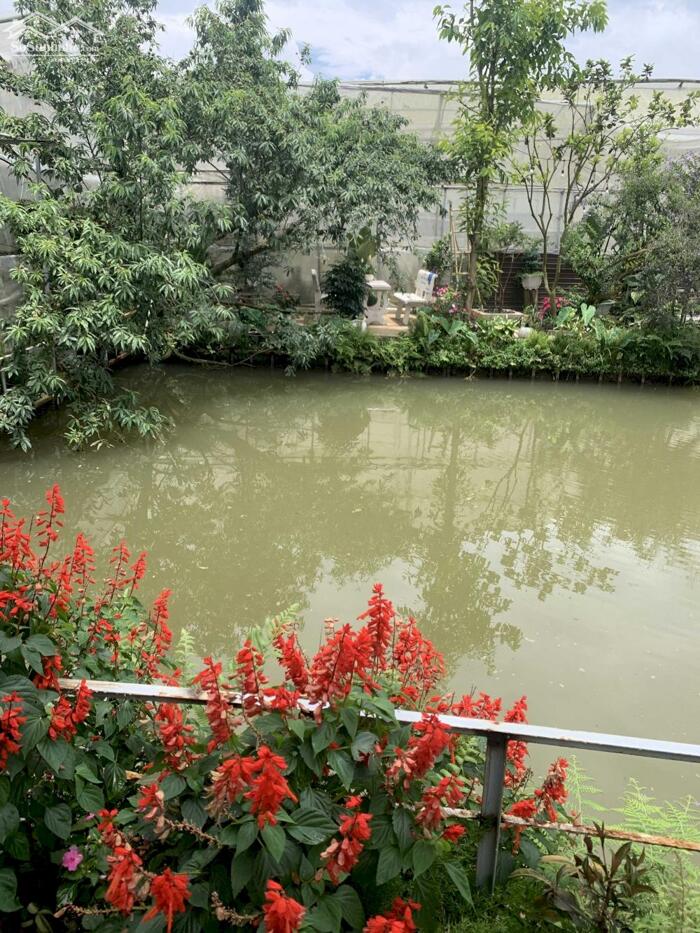 Hình ảnh Bán đất Hòn Bồ, P.12, TP. Đà Lạt - Cách Hồ Xuân Hương chỉ 6,4 Km 12