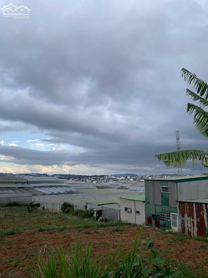 Hình ảnh Bán đất Hòn Bồ, P.12, TP. Đà Lạt - Cách Hồ Xuân Hương chỉ 6,4 Km 10