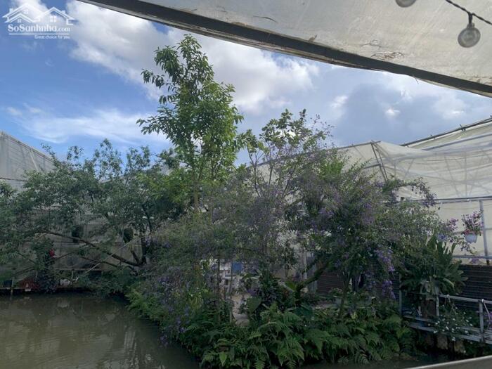 Hình ảnh Bán đất Hòn Bồ, P.12, TP. Đà Lạt - Cách Hồ Xuân Hương chỉ 6,4 Km 2