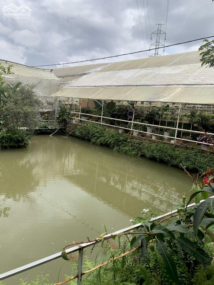 Hình ảnh Bán đất Hòn Bồ, P.12, TP. Đà Lạt - Cách Hồ Xuân Hương chỉ 6,4 Km 14