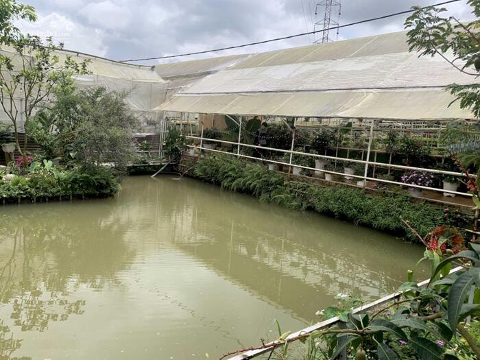 Hình ảnh Bán đất Hòn Bồ, P.12, TP. Đà Lạt - Cách Hồ Xuân Hương chỉ 6,4 Km 13