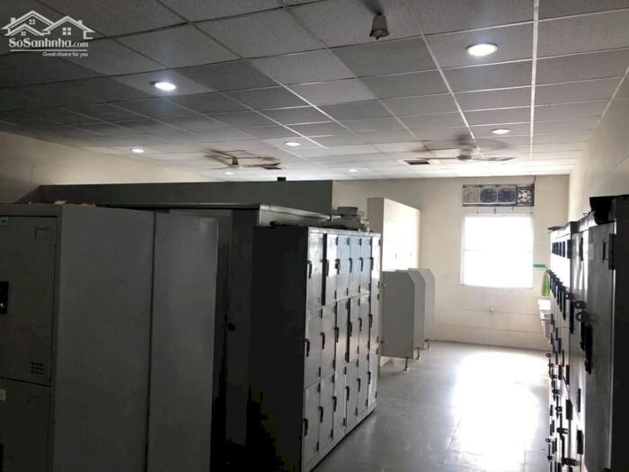 Hình ảnh Cho thuê xưởng 11.800m2 (TDT 25.000m2) KCN Nhơn Trạch 3