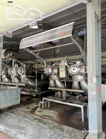 Hình ảnh Cho thuê xưởng dệt nhuộm 8400m2 xả 1000m3 Tây Ninh 5