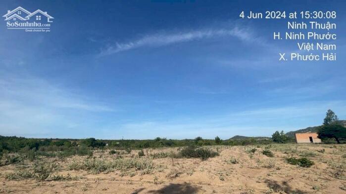 Hình ảnh BÁN ĐẤT VƯỜN TẠI NINH PHƯỚC, NINH THUẬN OTO VÀO TẬN NƠI DT: 6.400m2 - GIÁ 2.9 TỶ - LH 0917 678 685 0