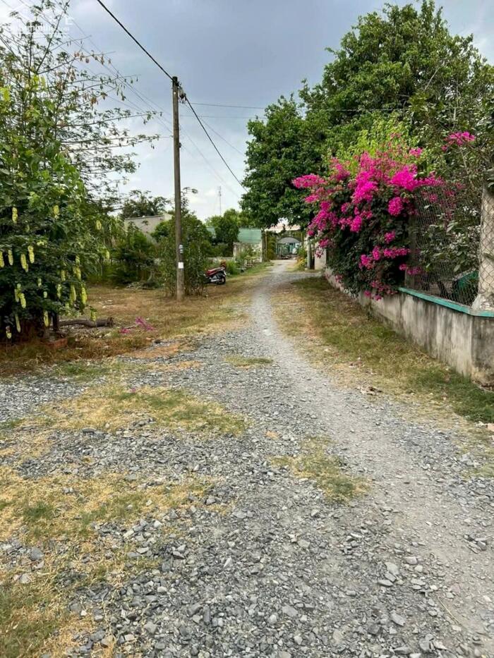 Hình ảnh Đất thổ cư 1/Quốc Lộ 22-Tân Thông Hội-Củ Chi.Dt 16,2x47~770m2~6,2ty 2