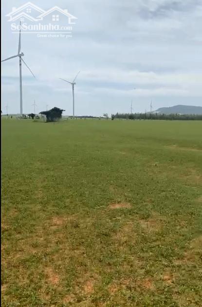 Hình ảnh Cần bán nhanh-Đất gần Biển Mũi Né-Hồng Phong-Bắc Bình-DT 3,67Ha 2