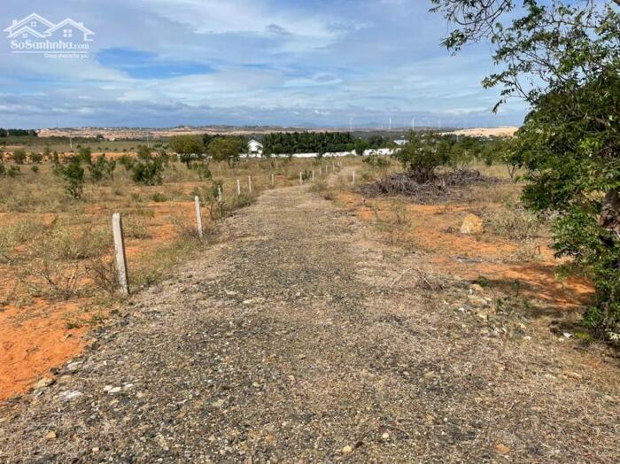 Hình ảnh Kẹt tiền quá bán nhanh-Đất 3 mặt tiền Hồng Chính-Hòa Thắng-Bắc Bình-DT 1,67Ha 2