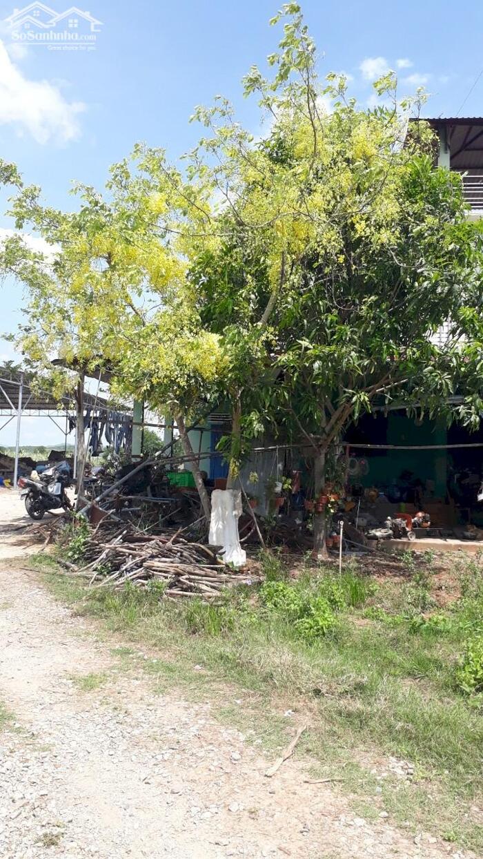 Hình ảnh Đất Ngộp gần Kênh Châu Tá-Hồng Sơn(Hồng Liêm)-Lâm Đồng-DT 1,24Ha+ 11Ha 1