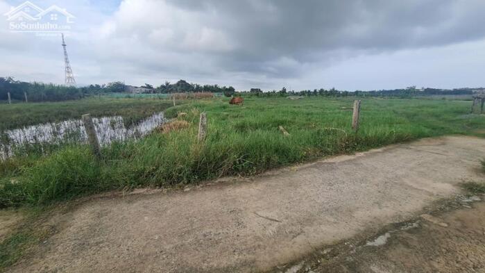 Hình ảnh bán đất 5x24 nở hậu 6m full thổ cư gần biển, đường ôtô 4m, tân tiến, thị xã lagi, bình thuận. chỉ 650 triệu 0