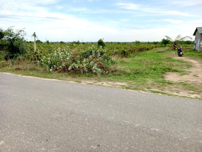 Hình ảnh Đất Ngộp mặt tiền 100m Nhựa-Xã Hàm Liêm(Hàm Chính cũ)-Lâm Đồng-11.300m2 1