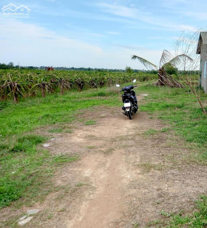 Hình ảnh Đất Ngộp mặt tiền 100m Nhựa-Xã Hàm Liêm(Hàm Chính cũ)-Lâm Đồng-11.300m2 2