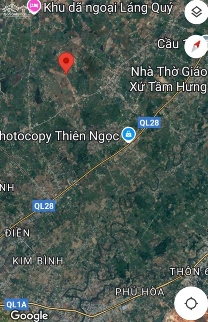 Hình ảnh Trang trại Hàm Chính-Hàm Thuận Bắc-Bình Thuận-DT 20.600m2CLN 4