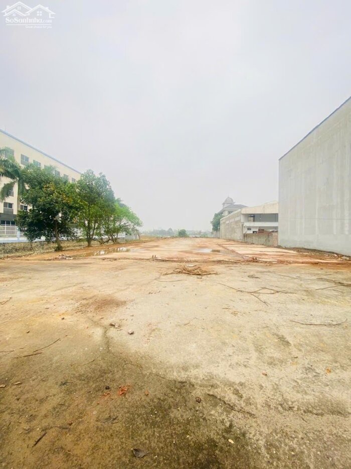 Hình ảnh Bán đất TMDV mặt đường Nguyễn Tất Thành, Vĩnh yên. Lô góc 3 mặt tiền. 4