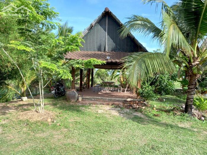 Hình ảnh Đất Ngộp 3 MT trục chính-Hàm Liêm(Hàm Thuận Bắc)-2 thửa LK:4.830m2 Và 10.730m2 1