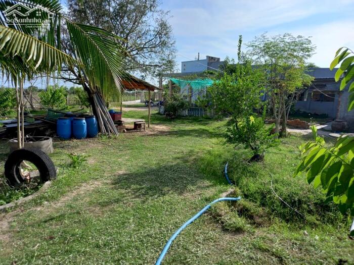 Hình ảnh Đất Ngộp 3 MT trục chính-Hàm Liêm(Hàm Thuận Bắc)-2 thửa LK:4.830m2 Và 10.730m2 3