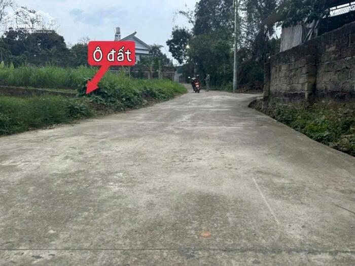 Hình ảnh Bán đất tdp Đại điền, tt Đại đình, Tam đảo. 2 lô liền nhau 2