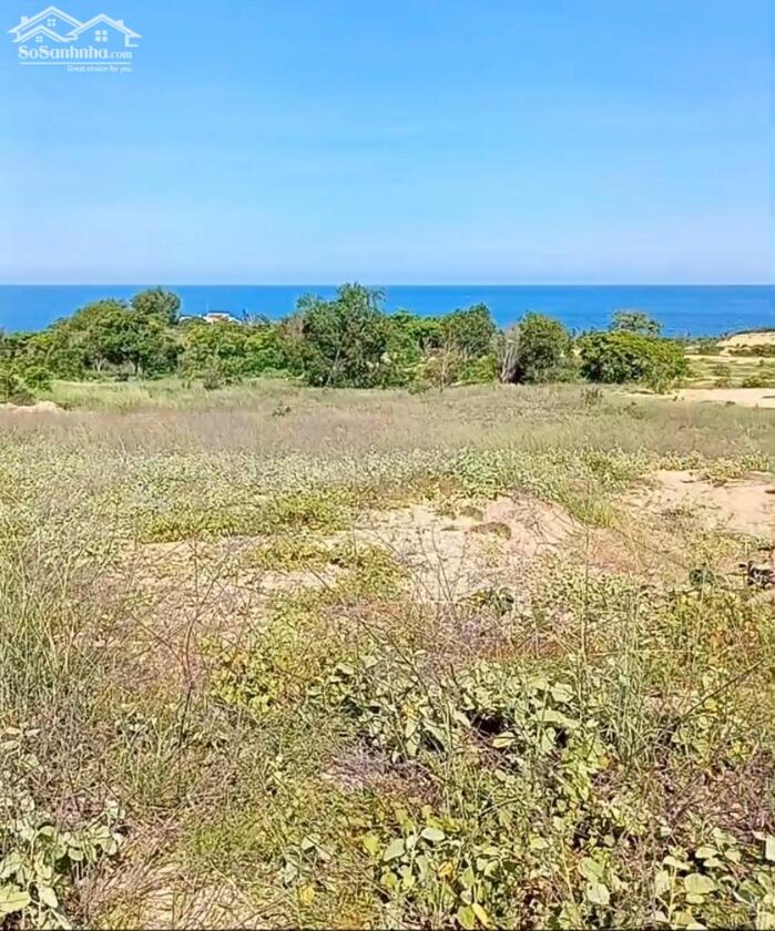 Hình ảnh Cần Bán Giá Rẻ-Đất Kê Gà-Hàm Thuận Nam-Bình Thuận-DT 2 Ha 1