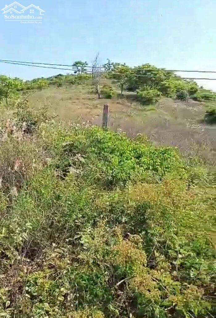 Hình ảnh Cần Bán Giá Rẻ-Đất Kê Gà-Hàm Thuận Nam-Bình Thuận-DT 2 Ha 2