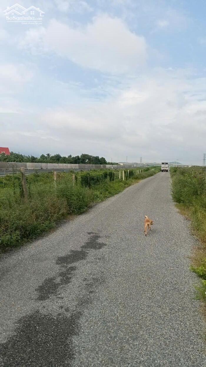 Hình ảnh Đại hạ giá-Đất mặt tiền Nhựa giáp Cao tốc-Phú Sung-Hàm Cường-DT 19.900m2CLN 1