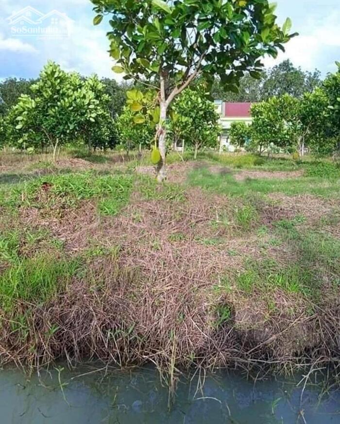 Hình ảnh Đại hạ giá-Đất MT đường,MT Suối-Gần Chợ,Ga Mương Mán,gần DT707-DT 1,4ha 0