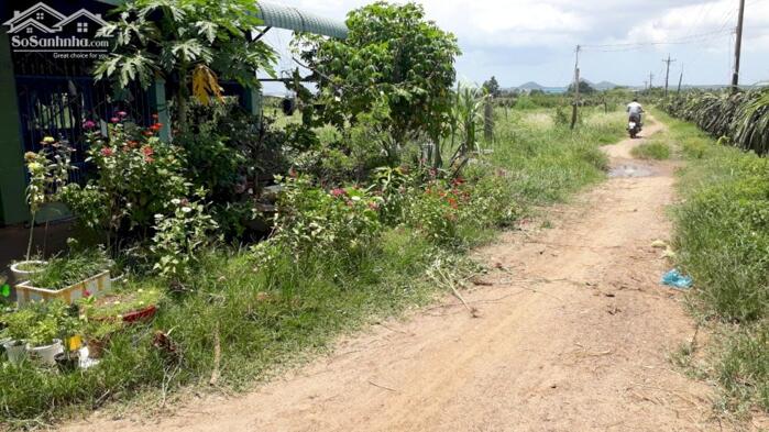 Hình ảnh Đại hạ giá-Đất MT đường,MT Suối-Gần Chợ,Ga Mương Mán,gần DT707-DT 1,4ha 1