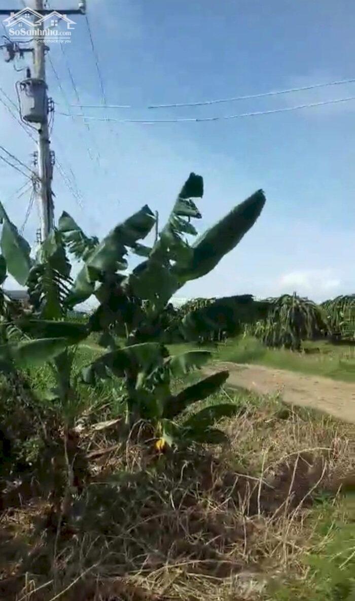 Hình ảnh Đại hạ giá-Đất MT đường,MT Suối-Gần Chợ,Ga Mương Mán,gần DT707-DT 1,4ha 3