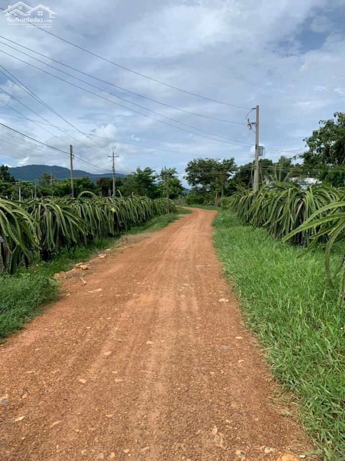 Hình ảnh Hạ giá Sốc-Đất gần UBND xã Hàm Thạnh-Hàm Thuận Nam-Bình Thuận-DT 2,2Ha 0