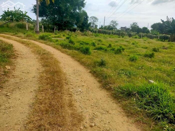 Hình ảnh Hạ giá Sốc-Đất gần UBND xã Hàm Thạnh-Hàm Thuận Nam-Bình Thuận-DT 2,2Ha 1