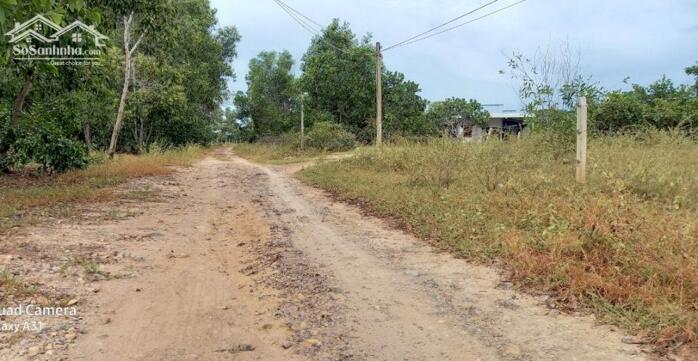 Hình ảnh Đất gần sân bay Thiện Nghiệp-Phan Thiết-Bình Thuận-2 thửa LK:9.190m2+10.040m2 1