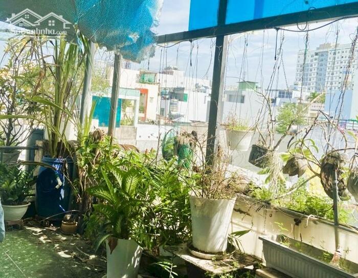 Hình ảnh 43m2 HXH Phú Thọ Hoà, sổ vuông nở hậu, nhỉnh 4 tỷ 3